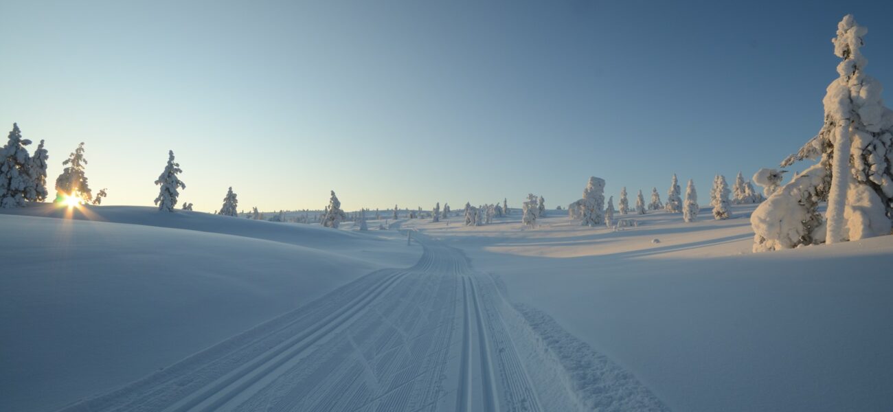 Lapland: geen land, wel een bijzondere regio