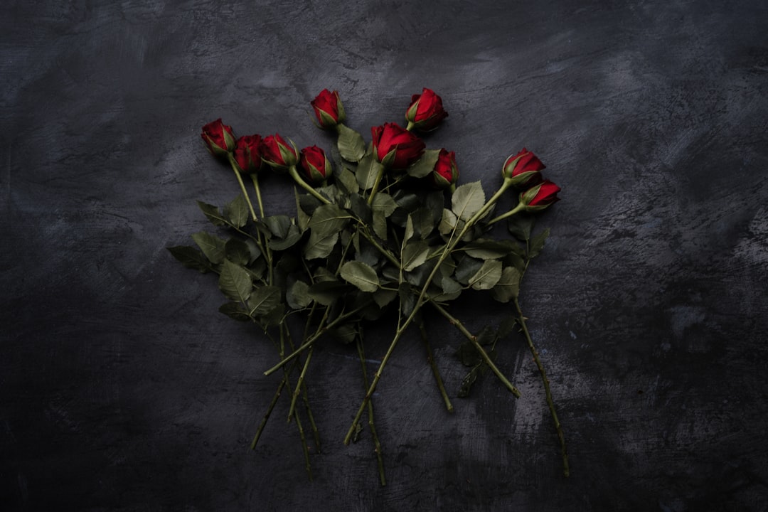 Het leven en de liefde van Jamie Westland: dit weten we over zijn vriendin