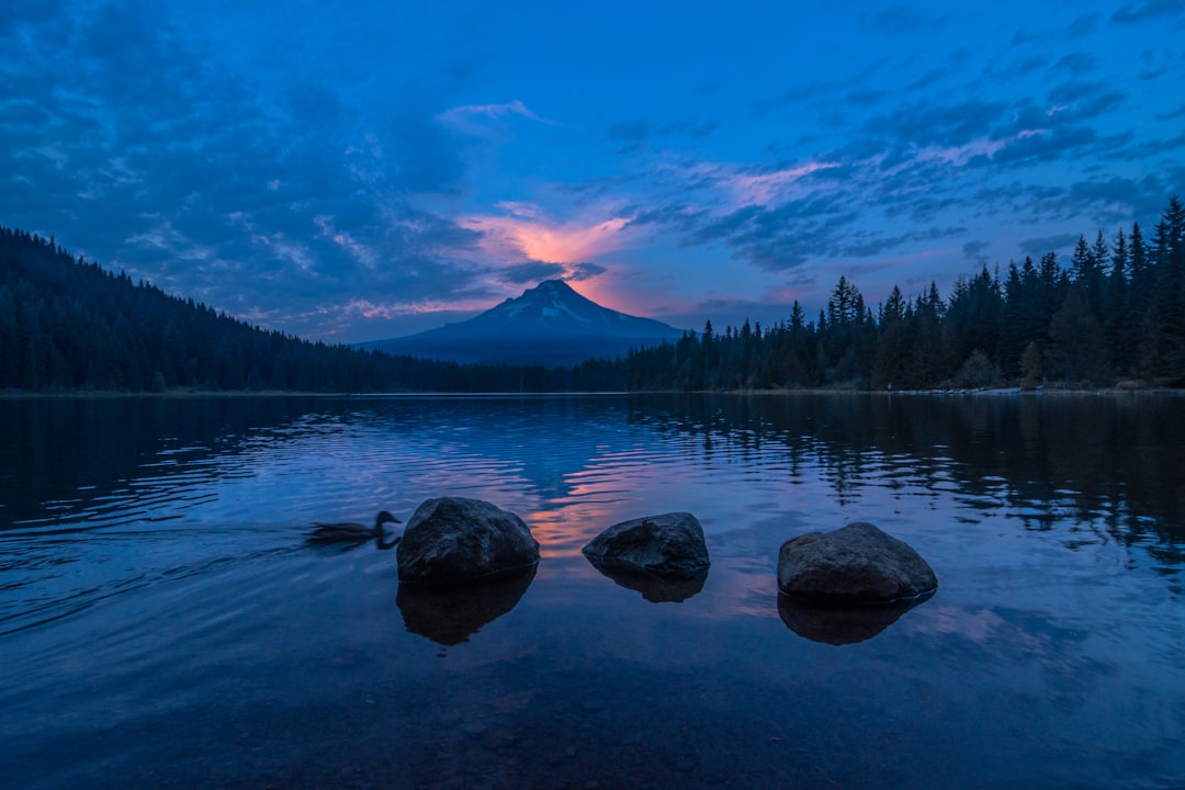 Het weer in Stockholm: een gids voor elk seizoen